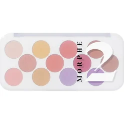 Oogschaduw^Morphe 12 Pan Ready for Anything Social Butterfly