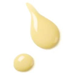 Dr. Hauschka|Annemarie Börlind^Dr. Hauschka Activerende dagvloeistof