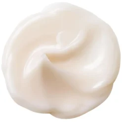 Antirimpelcrème^Shiseido Advanced Super Revitalizing Cream