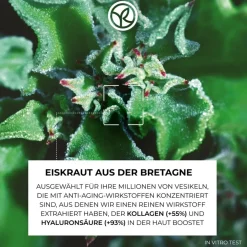 Gezichtsverzorging|Nachtcrème^Yves Rocher Anti-rimpel Intense Dag- & Nachtverzorging