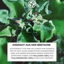 Oogverzorging|Gezichtsverzorging^Yves Rocher Anti-rimpel oogverzorging