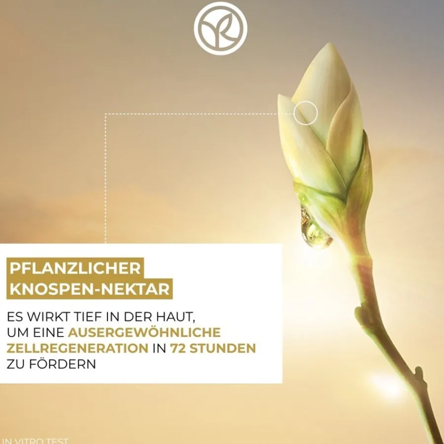 Gezichtsverzorging|Nachtcrème^Yves Rocher Anti-verouderende, verfraaiende nachtcrème