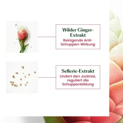 Vet Haar^René Furterer Balancerende shampoo voor vette roos