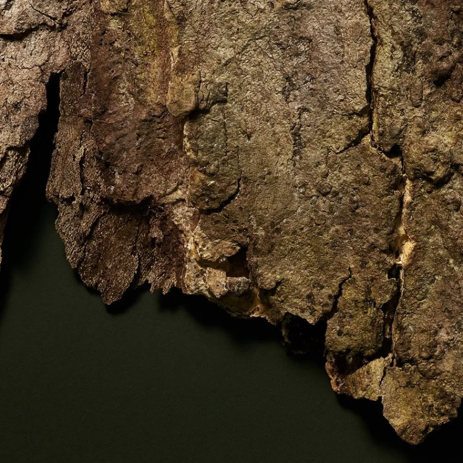 Antirimpelcrème^BABOR BB Cream SPF 20