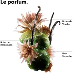 Haarverzorgingsset|Leave-In Conditioner^L’Oréal Professionnel Paris Bi-Phase Oil