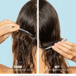 Spraybehandeling^System Professional Lipid Code Blusnevel H5