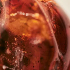 Frans Parfum|Lentegeuren^Chloé Body Cream