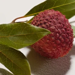 Frans Parfum|Lentegeuren^Chloé Body Cream