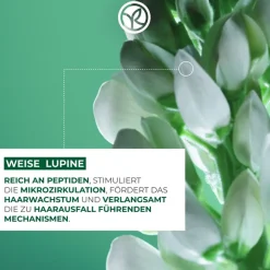 Conditioner|Conditioner Voor Beschadigd Haar^Yves Rocher Conditioner tegen haaruitval, Verzwakt en futloos haar