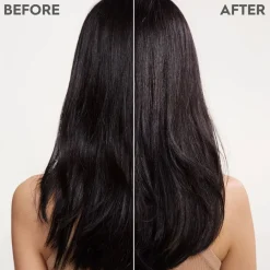 Conditioner Voor Beschadigd Haar^Kerasilk Conditioner temmen