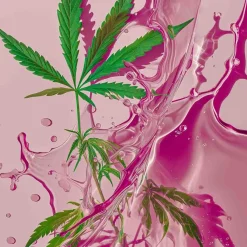 Douchegel^sober Dagelijkse douche lotion