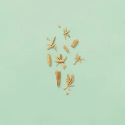 Zeep|Lichaamsreiniging & Scrubs^Gucci Deodorant Spray