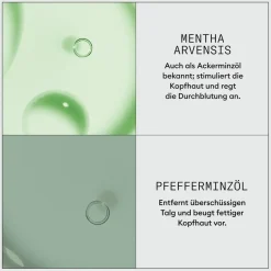 Zonnebrand & Verzorging|Hair Tonic^Nioxin Dermabrasie behandeling hoofdhuid vernieuwen