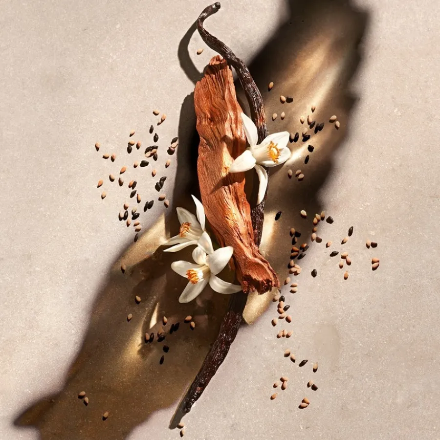 Douchegel|Douchegels Dames^Zadig & Voltaire Douchegel