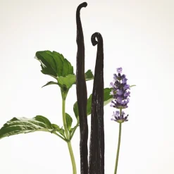 Damesparfum^Burberry Eau de Parfum Intense Spray