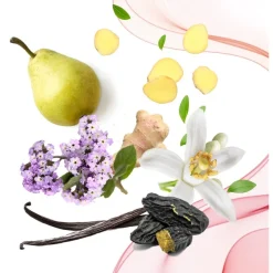 Bloemig Parfum|Oriëntaals Parfum^Annayake Eau de Parfum Nevel