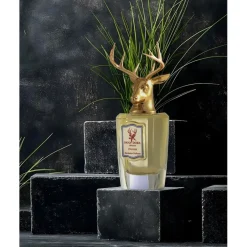 Niche Herenparfums|Niche Damesparfums^Pana Dora Sweden Eau de Parfum Spray