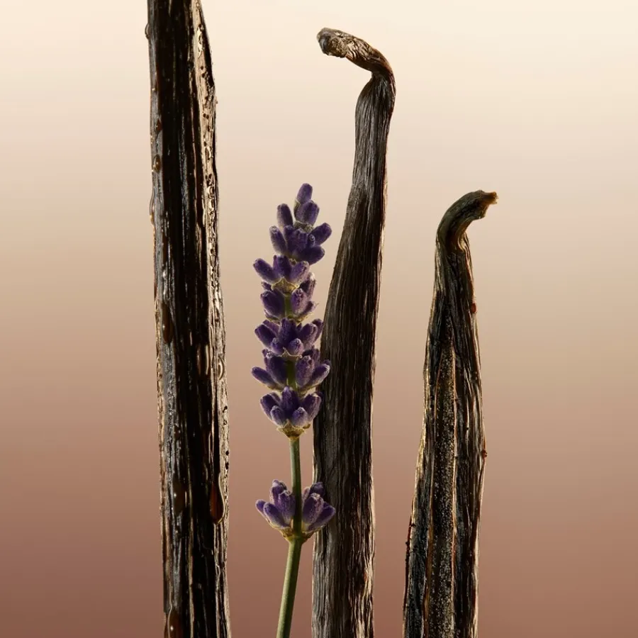 Fris Parfum|Fruitig Parfum^Burberry Eau de Parfum Spray