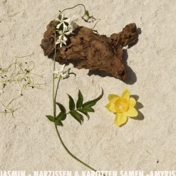 Lentegeuren|Bloemig Parfum^Jil Sander Eau de Parfum Spray