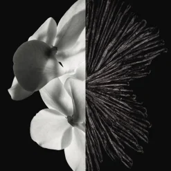 Frans Parfum|Herenparfum^GIVENCHY Eau de Parfum Spray