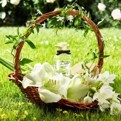 Luxe Damesparfum|Italiaans Parfum^Dolce&Gabbana Eau de Parfum Spray