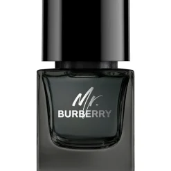 Herenparfum^Burberry Eau de Parfum Spray