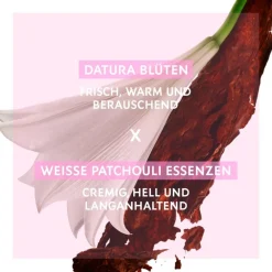 Luxe Damesparfum|Frans Parfum^Yves Saint Laurent Eau de Parfum Spray