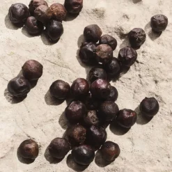 Herenparfum^Dolce&Gabbana Eau de Parfum Spray, Capri in Love