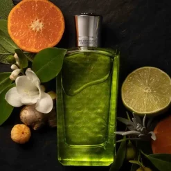 Luxe Herenparfum|Italiaans Parfum^THE MERCHANT OF VENICE Eau de Parfum Spray, Colonia Veneziana