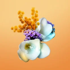 Luxe Damesparfum|Herenparfum^Eisenberg Eau de Parfum Spray, Happy