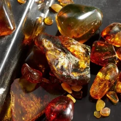 Italiaans Parfum|Amberparfum^Dolce&Gabbana Eau de Parfum Spray, Intense