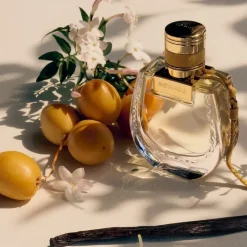 Frans Parfum|Damesparfum^Chloé Eau de Parfum Spray, Jasmin Naturelle