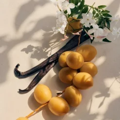 Frans Parfum|Damesparfum^Chloé Eau de Parfum Spray, Jasmin Naturelle