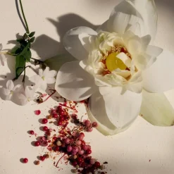 Bloemig Parfum|Damesparfum^Chloé Eau de Parfum Spray, Lumière d'Égypte