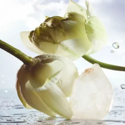 Herenparfum^Bvlgari Eau de Parfum Spray, Rain Essence