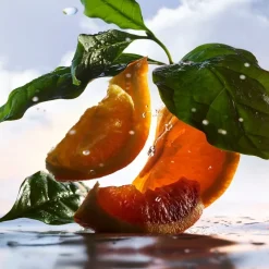 Herenparfum^Bvlgari Eau de Parfum Spray, Rain Essence