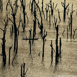 Damesparfum^GUERLAIN Eau de Parfum Spray, Rosa Rossa Forte