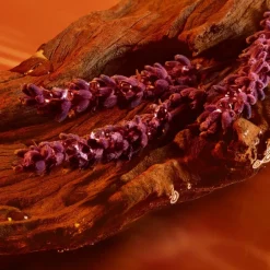 Luxe Herenparfum|Luxe Damesparfum^Armani Eau de Parfum Spray, Stronger With You Intensely