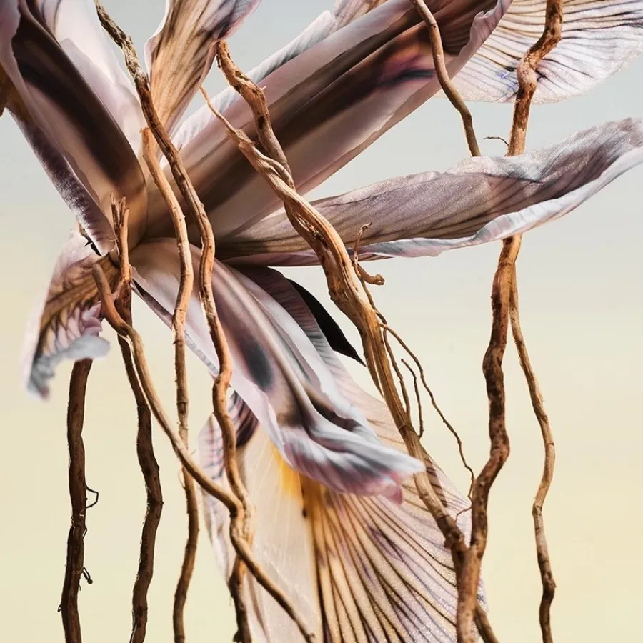 Luxe Herenparfum|Italiaans Parfum^Bvlgari Eau de Parfum Spray, Terrae Essence