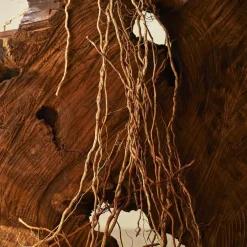 Luxe Herenparfum|Italiaans Parfum^Bvlgari Eau de Parfum Spray, Terrae Essence