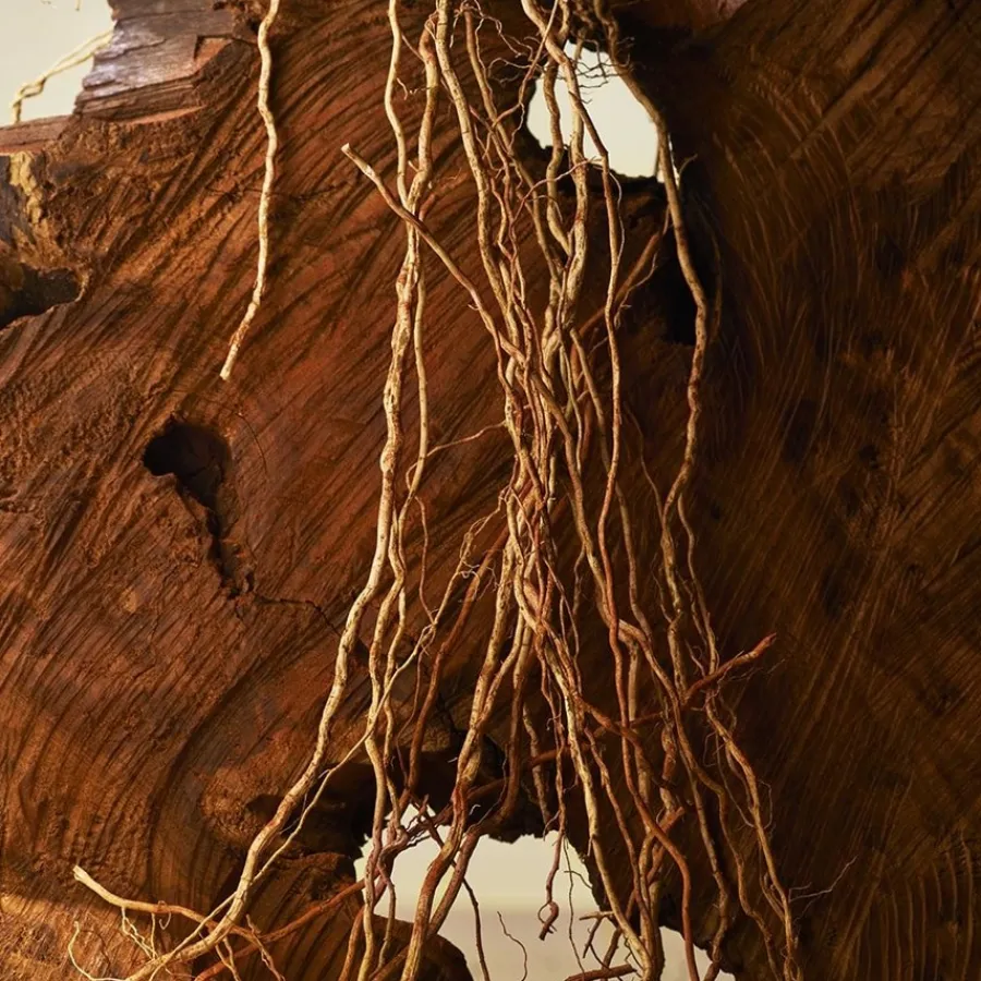 Luxe Herenparfum|Italiaans Parfum^Bvlgari Eau de Parfum Spray, Terrae Essence