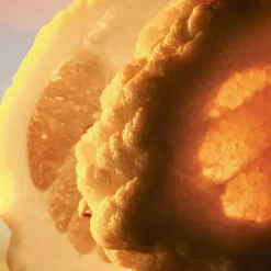 Luxe Herenparfum|Italiaans Parfum^Bvlgari Eau de Parfum Spray, Terrae Essence