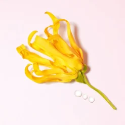 Italiaans Parfum|Fruitig Parfum^Armani Eau de Parfum Spray, Ylang