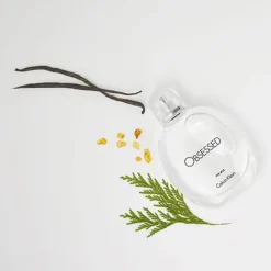 Herfstgeuren|Oriëntaals Parfum^Calvin Klein Eau de Toilette Spray