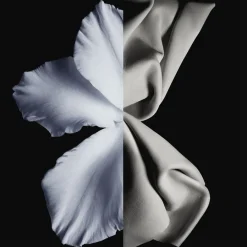 Frans Parfum|Herenparfum^GIVENCHY Eau de Toilette Spray