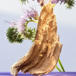 Luxe Damesparfum|Italiaans Parfum^Bvlgari Eau de Toilette Spray, Amethyste