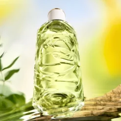 Damesparfum^Lancôme Eau de Toilette Spray, Ôff Now