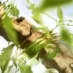 Damesparfum^Lancôme Eau de Toilette Spray, Ôff Now