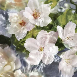 Frans Parfum|Damesparfum^GUERLAIN Eau de Toilette Spray, Flora Cherrysia