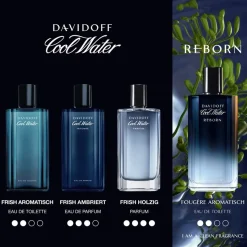 Herenparfum^Davidoff Eau de Toilette Spray, Reborn